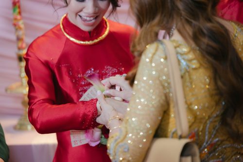 TN Photo-43 (1)